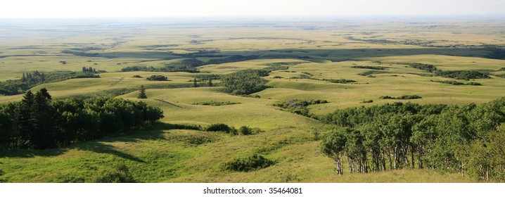 Cypress Hills Interprovincial Park, Saskatchewan, Canada.