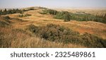 Cypress Hills Interprovincial Park in south of Alberta and Saskatchewan. Very close is the historical RCMP Fort Walsh and the highest point of Saskatchewan. See prairie sunrice at Conglomerate Cliffs.
