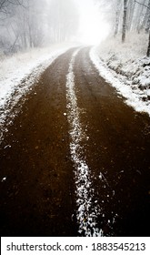 Cypress Hills Saskatchewan Winter Fresh Snow Fall