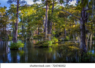 Cypress Lake at University of Louisiana at Lafayette
