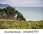 Cypress trees and shrubs on the coast of the Pacific Ocean on a foggy day, Lands End, San Francisco, California