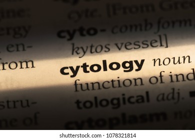 Cytology Word Dictionary Cytology Concept Stock Photo 1078321814