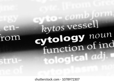 Cytology Word Dictionary Cytology Concept Stock Photo 1078972307