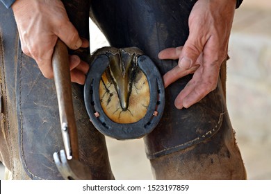 Czech blacksmith puts horses on horses