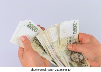 Czech koruna currency bills CZK banknote in hand is counting money