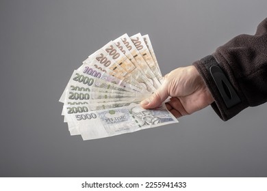 Czech koruna in various nominal banknotes CZK. Hold a small cash money on hand. Czechia finance concept. Close up selective focus.