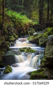 Czech Republic - September 20, 2016 -  A view of a morning mountain stream in National Park Sumava - Shutterstock ID 517569229