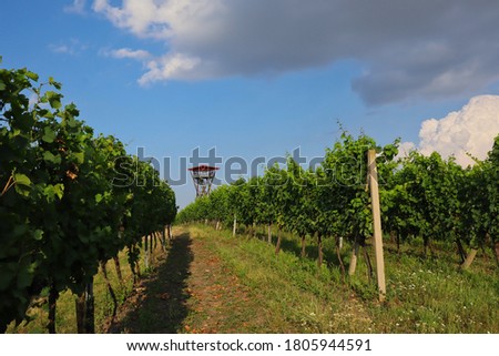 Similar – Tower in the vineyard Food