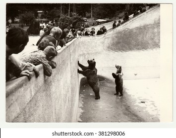 THE CZECHOSLOVAK SOCIALIST REPUBLIC - CIRCA 1980s: Vintage Photo Shows People Visit ZOO. Two Bears Stand In Bear Moat.