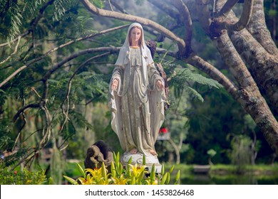 Da Lat City , Viet Nam - July 10, 2019 : The Statue Blessed Virgin Mary,mother Of Jesus .