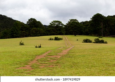 Da Lat have many grass mountain same this one - Shutterstock ID 1897419829