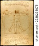 Da Vinci Vitruvian from 1492