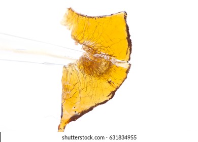 Dab Of Shatter, Cannabis Hash Oil