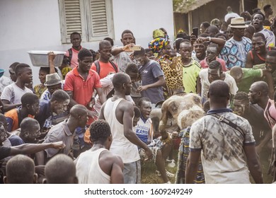 Dabre, Akoure, Alepe - Ivory Coast - August 2019 / Generation Ceremony In GWA Country - M'gbatto - Warriors Dancing To Tribal Rhythms