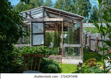 Dacha Time. Summer Outside. Gardening In Russia