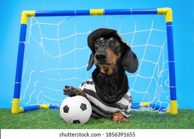 2,255 Soccer cap Stock Photos, Images & Photography | Shutterstock