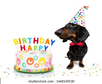 Imagenes Fotos De Stock Y Vectores Sobre Animal Birthday Cake