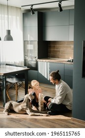 Dad and daughter are playing a board game in the kitchen, sitting on the floor. A dog is lying nearby. Scandinavian and high-tech style in the interior. Family leisure