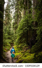 A Dad And His Daughter Hike To Sol Duc Falls On A Rainy Day In Olympic National Park In Washington State. 