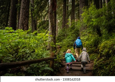 A Dad And His Daughters Hike To Sol Duc Falls In The Hoh Rainforest In Olympic National Park In The State Of Washington. 