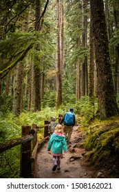 A Dad And His Daughters Hike To Sol Duc Falls In The Hoh Rainforest In Olympic National Park In The State Of Washington. 