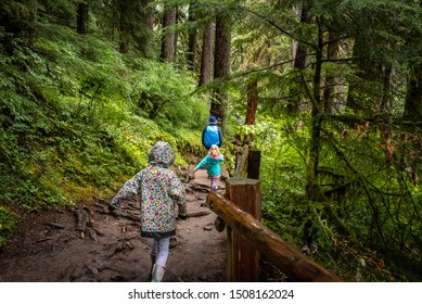 A Dad And His Daughters Hike To Sol Duc Falls In The Hoh Rainforest In Olympic National Park In The State Of Washington. 