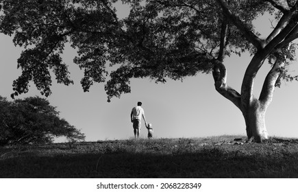 Dad Holding His Child's Hand Walking In The Park. Happy Father Son Moment Concept. 