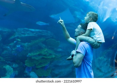 Dad and son spend time together in the Aquarium. Son sits on dad's back and explores the underwater world
