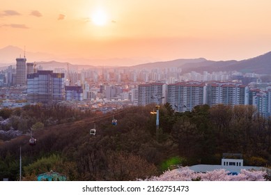 DAEGU, SOUTH KOREA - April 2 2022 : Sunset Daegu City At E-world With Cherry Blossom Season Is Located On European Style Theme Park Inside Duryu Park.