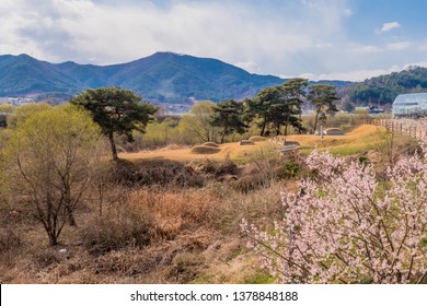 Grass Mound Images Stock Photos Vectors Shutterstock - 