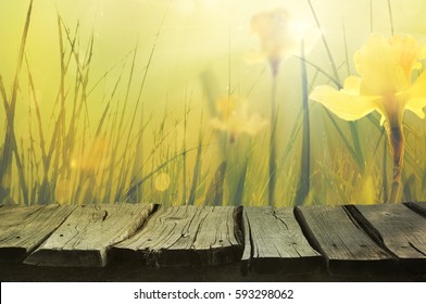 Daffodil floral spring background. Easter Spring Flowers. Elegant Mother's Day gift. Springtime green background.Wood table background