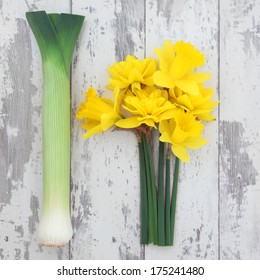 Daffodil Flower And Leek Vegetables Over Distressed Wooden Background, Symbols Of Wales.