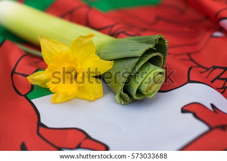 Daffodil and leek on Welsh flag