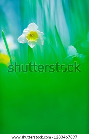 Similar – Image, Stock Photo shining blue Exterior shot