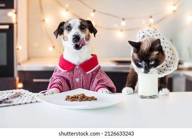 Dag And Cat Have Dinner At Home. Pets Eating Like Human