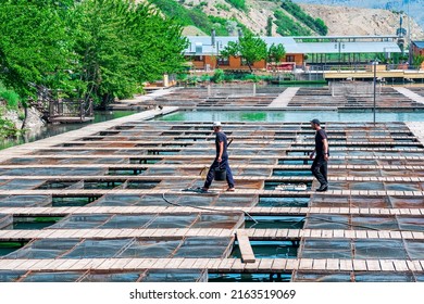 Dagestan, Russia - May 13, 2022: Workers At A Fish Farm With Commercial Fishing In A Mountain Valley