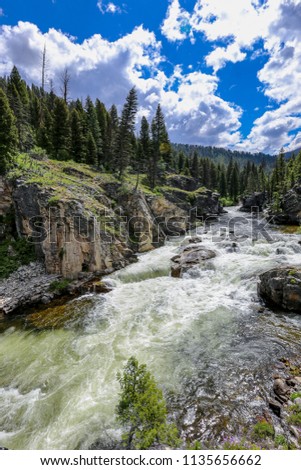 Dagger Falls on the Middle Fork of the Salmon River, Idaho