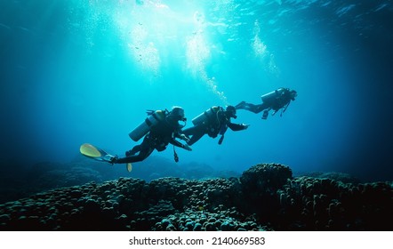 DAHAB, EGYPT - February 2022: Divers In The Red Sea In Dahab. Scuba Diving In Egypt