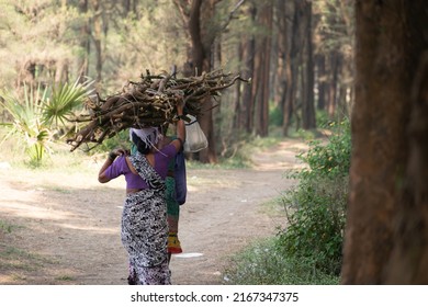 Dahanu, India - 25 December 2021, Daily Wagers Walking In Forest, Collecting Wood. Wood Cutter, Women, Labor, Poverty, Hunger, Livelihood, Hard Work, Adivasi, Economy, Life, Warli, Fuel, Fire Concept.