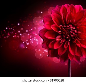 Dahlia Autumn flower design.Over black