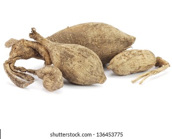 Dahlia Bulbs (roots) On A White Background