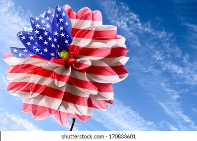 Dahlia as flag of USA on background of blue sky