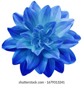 4392 Free CC0 Blue flowers Stock Photos - StockSnap.io