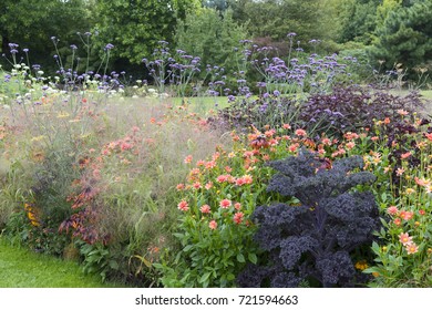 Dahlia Ster Van Woensel Panicum Fountain