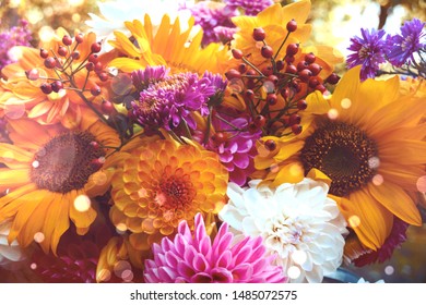 Dahlia and sunflowers. Bouquet of autumn flowers in the garden - summer autumn greeting card - Powered by Shutterstock