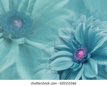 turquoise flower background