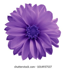 1,388,767 Single flower Images, Stock Photos & Vectors | Shutterstock