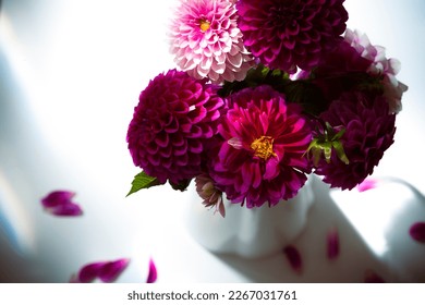 DAHLIAS IN A VASE WITH SCATTERED PEATALS