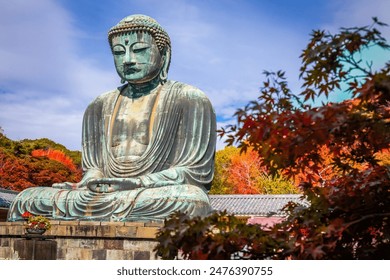 Daibutsu or Great Buddha of Kamakura in Kotokuin Temple at Kanagawa Prefecture Japan with leaves changing color It is an important landmark and a popular destination for tourists and pilgrims. - Powered by Shutterstock