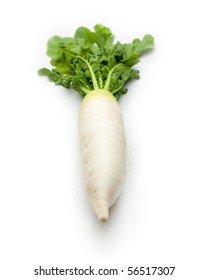 Daikon Radish Isolated On White